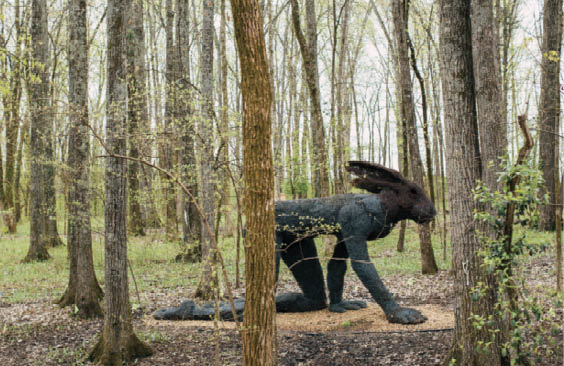 Coming Soon to Cheekwood